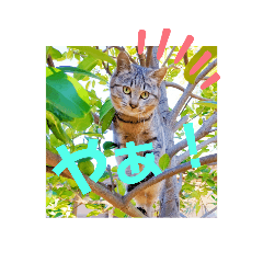 mizuki_20220103012944