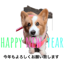 hikari_20220103124424