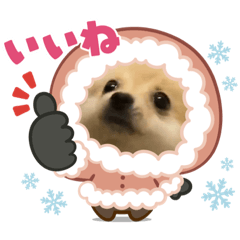 honeymaru_20220103140029