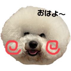 mizuki_20220102174256