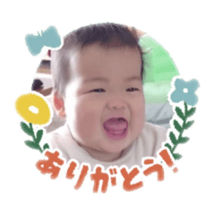 mako no stamp