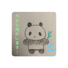 panda_20220103154116