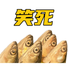 可以色色