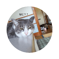 miko_20220103173011