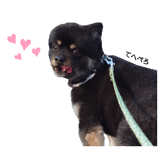 mizuki_20220103183251