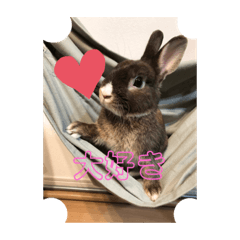 Himawari_20220103210120