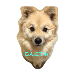 momoko_20220103213713