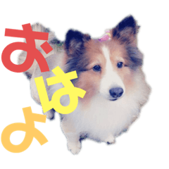 sayuri_20220103233111