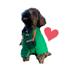 亮亮是我亮亮最可愛