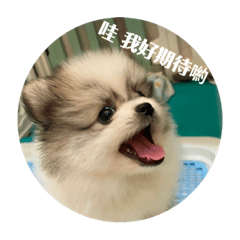 Hardy成長日記