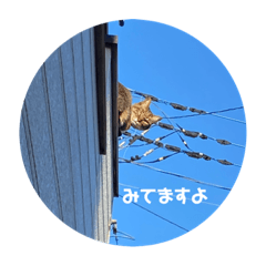 Yuka_20220104115958