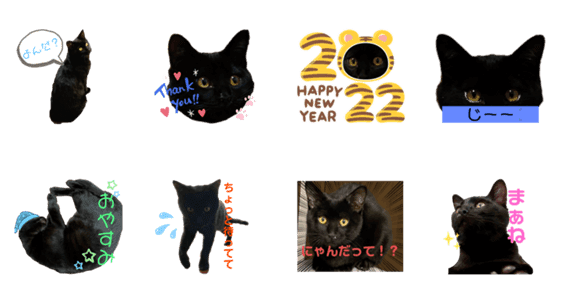 黒トラのジジ 黒猫 Lineクリエイターズスタンプ Stamplist