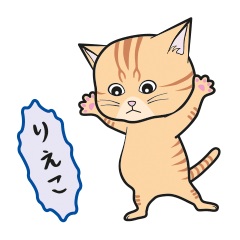 [Only for Rieko](orange tabby)