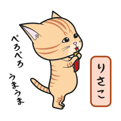 [Only for Risako](orange tabby)