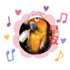 金太陽專屬_我是太陽大家好3