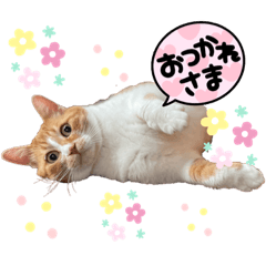 chieeeemi
