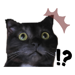 seira_20220104184559