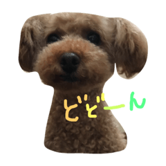 My name is Zen!!!3