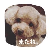 kuida