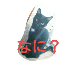 kazokunanoda