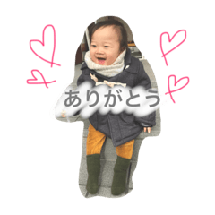 daisuki aokun