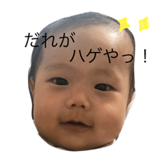 あおあおの日常 - LINE スタンプ | LINE STORE