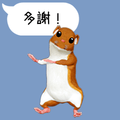 Animated Hamster in Taiwan