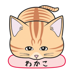 [Only for Wakako](orange tabby)