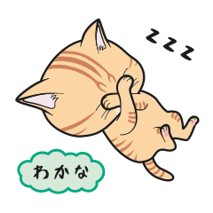 [Only for Wakana](orange tabby)