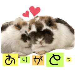 cute-convenient-animal stamps