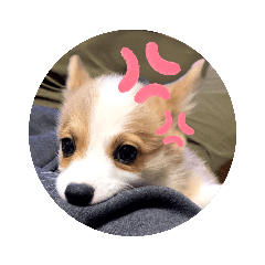 Omochi_20220105121634