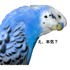 arisa_20220105150245