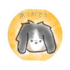 risa_20220105163159