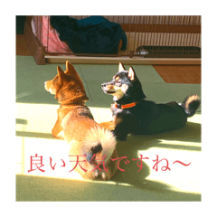 Arisa_20220105164133