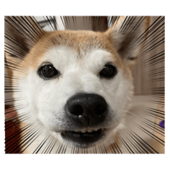 monaka_20220105173954