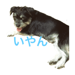 ponzu_20220105175149