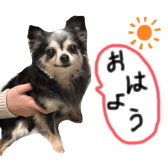 mizuki_20220105204458