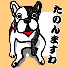 Kansai dogs from France