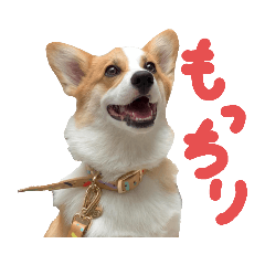 Omochi_20220105211846