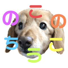 uchi no ko_20220106085236