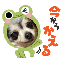 mizuki_20220106130439