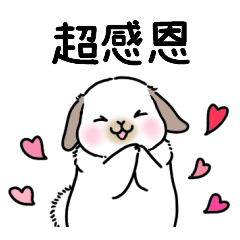 毛茸茸＊有禮貌的垂耳兔