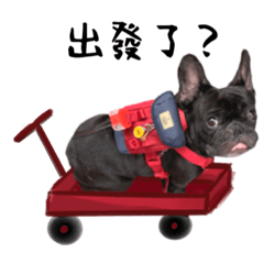 Daily Fatty_French Bulldog Pocky