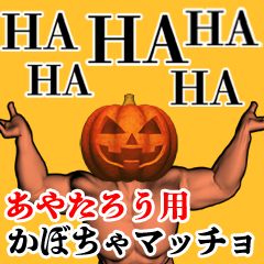 Ayatarou Pumpkin macho