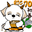 【Big】シーズー犬 70『初春』