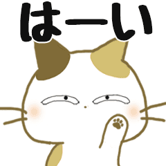 Animation sticker calico cat