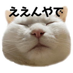 momoko_20220106164829