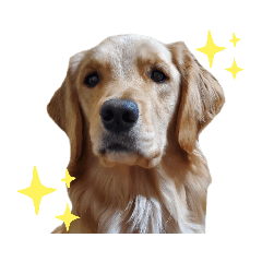 mizuki_20220106182845