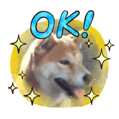 ryuki_20220106183503