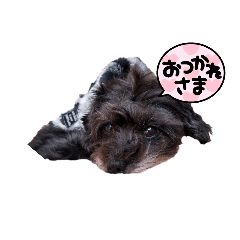 momoko_20220106194205